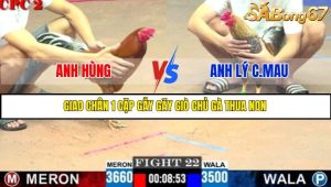 TRẬN 22 C2 8/6/2025
