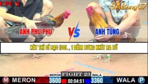 Trận 23 Bồ Gà C2 29/6/2025