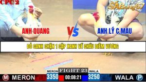 TRẬN 23 C2 8/6/2025