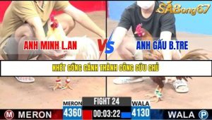 Trận 24 Bồ Gà C3 27/6/2025