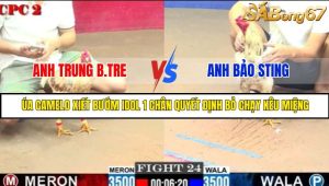 TRẬN 24 C2 6/6/2025