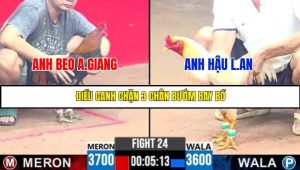 TRẬN 24 C3 8/6/2025