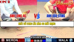 TRẬN 25 C2 6/6/2025