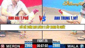 TRẬN 25 C3 9/6/2025