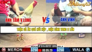 Trận 26 Bồ Gà C2 27/6/2025