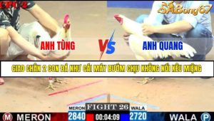 TRẬN 26 C2 8/6/2025