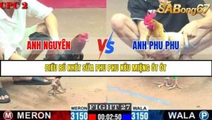 Trận 27 Bồ Gà C2 29/6/2025