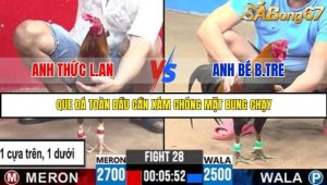 Trận 28 Bồ Gà C3 22/6/2025