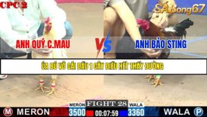TRẬN 28 C2 1/6/2025