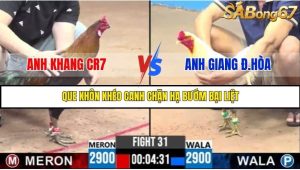 Trận 31 Bồ Gà C3 22/6/2025