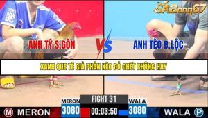 Trận 31 Bồ Gà C3 27/6/2025
