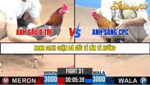 Trận 31 Bồ Gà C3 29/6/2025