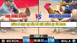Trận 31 Bồ Gà C3 30/6/2025