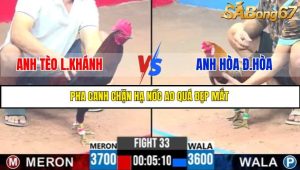 TRẬN 33 C3 3/6/2025
