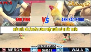 TRẬN 35 C2 1/6/2025