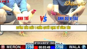TRẬN 36 C1 7/6/2025