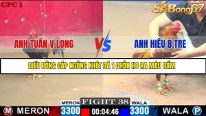 Trận 38 Bồ Gà C1 30/6/2025