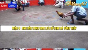 Trận 4 Anh Bảo Sting và Campuchia