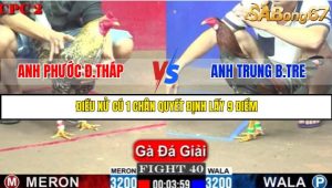TRẬN 40 C2 1/6/2025