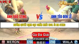 TRẬN 41 C2 1/6/2025