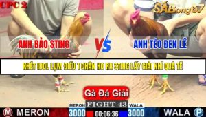 TRẬN 43 C2 1/6/2025