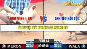 Trận 44 Bồ Gà C3 27/6/2025