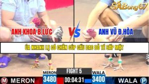 TRẬN 5 C3 8/6/2025