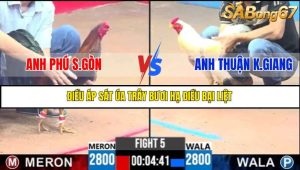 TRẬN 5 C3 9/6/2025