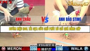 Trận 6 Bồ Gà C2 25/6/2025