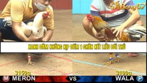 Trận 6 Bồ Gà CPC4 16/6/2025