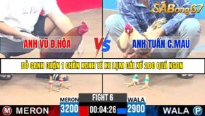 TRẬN 6 C3 8/6/2025