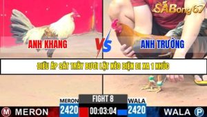 TRẬN 8 C3 8/6/2025