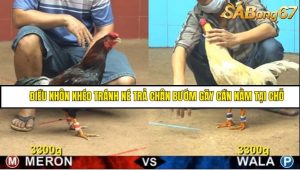Trận 9 Bồ Gà CPC4 16/6/2025