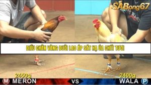 Trận 9 Bồ Gà CPC4 17/6/2025