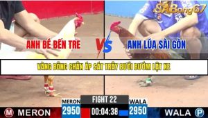 Trận 22 Bồ Gà C3 Ngày 22/7/2025