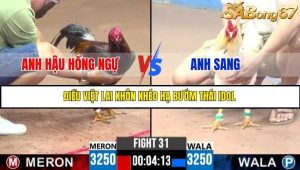 Trận 31 Bồ Gà C3 Ngày 22/7/2025