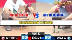 Trận 37 Bồ Gà C3 Ngày 15/7/2025