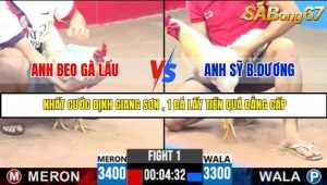 Trận 1 Bồ Gà C3 Ngày 31/7/2025
