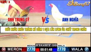Trận 10 Bồ Gà C1 Ngày 31/7/2025