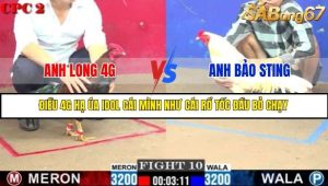 Trận 10 Bồ Gà C2 Ngày 16/7/2025