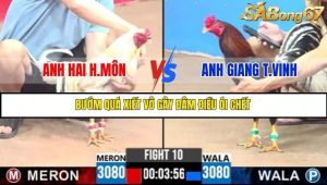 Trận 10 Bồ Gà C3 Ngày 18/7/2025