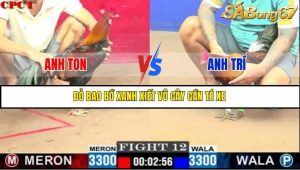 Trận 12 Bồ Gà C1 Ngày 5/7/2025