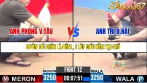 Trận 12 Bồ Gà C3 Ngày 25/7/2025
