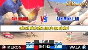 Trận 13 Bồ Gà C3 Ngày 30/7/2025