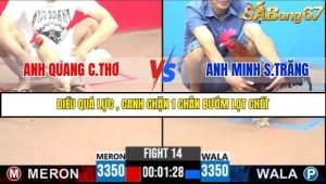 Trận 14 Bồ Gà C3 Ngày 31/7/2025