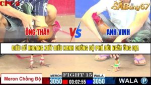 Trận 15 Bồ Gà C2 Ngày 13/7/2025