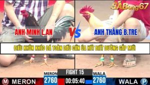 Trận 15 Bồ Gà C3 Ngày 10/7/2025