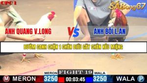 Trận 19 Bồ Gà C1 1/7/2025