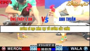 Trận 2 Bồ Gà C2 Ngày 11/7/2025