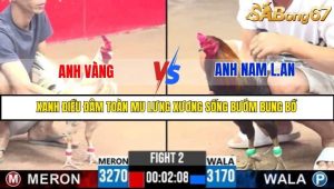 Trận 2 Bồ Gà Tonhon Ngày 18/7/2025